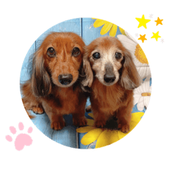 cherry_20220622215718