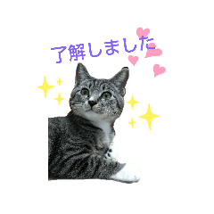 Suzu_20220623121824