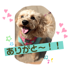 Mizuki_20220623005430