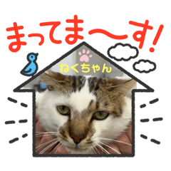 rina_20220623144009