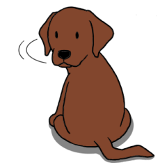 Labrador Retriever(choc) disposition