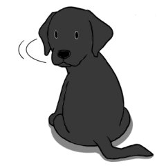 Labrador Retriever(black) disposition