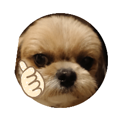 hana_20220623153134