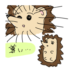 tanuki_20220622210137