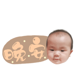三寶之家❤️