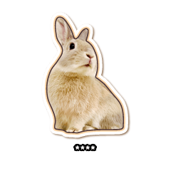 Latte The Bunny - Custom Japen