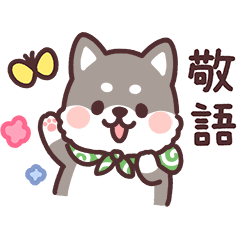 ころころ柴犬 敬語! 黒柴