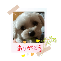 mieko_20220623182041