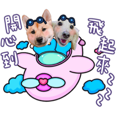 狗狗貓貓大集合（車車篇）