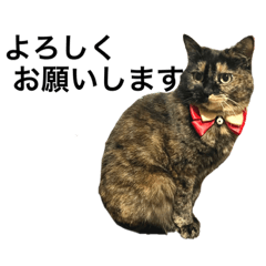 saori_20220623204914