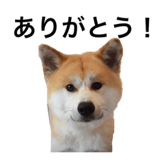 ask_20220623212620