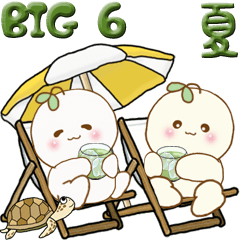 【Big】丸い子『植物の妖精たち』6 夏