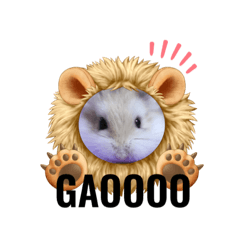 Emily_20220624021551