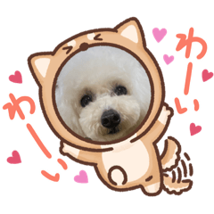 rina_20220624105604