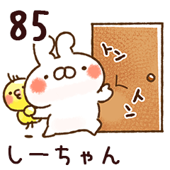 The shi-chan85