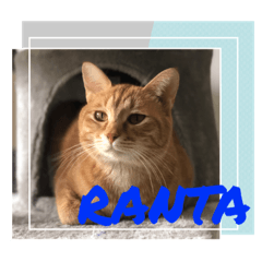 ranta_0317