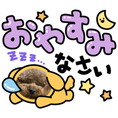 shiho_20220624125208