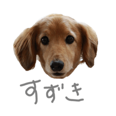 Hikari_20220624015434