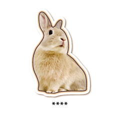 Latte The Bunny - Custom (Worldwide)