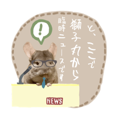 tanuki_20220624151800
