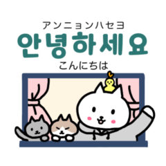 猫のわかびと韓国語