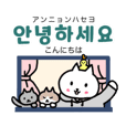 猫のわかびと韓国語