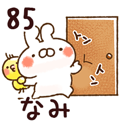 The nami85