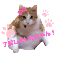 mizuki_20220625002103