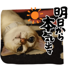 ringo_20220624193903