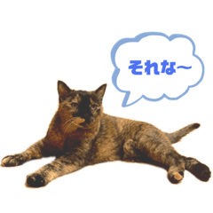 misa_20220624223221