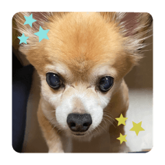 mizuki_20220624223248