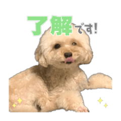 IMA_20220625124257