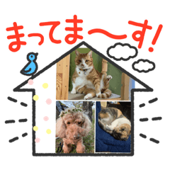tommy_20220625144131