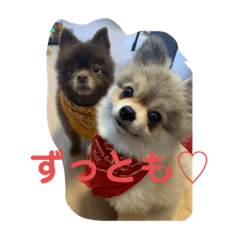 The story of Ichi and Hachi