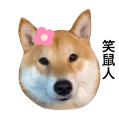 水水水水水水水