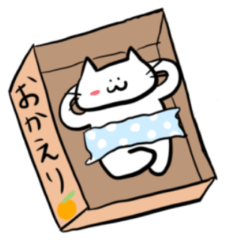 日常を送るこねこ2