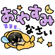 gomashio584032_20220625175943