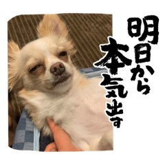 yukari_20220625210757