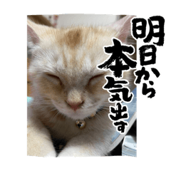 yuuko_20220625211136