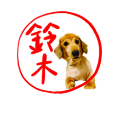 Hikari_20220625224347