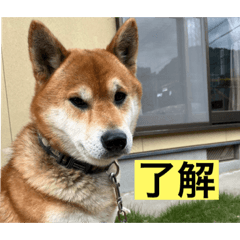 manmaru_20220625225958