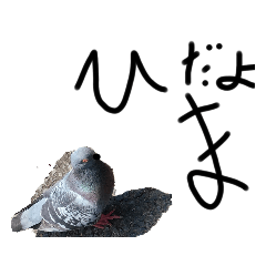 hato_20220626142115