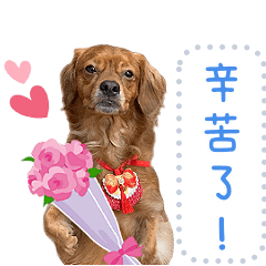 Theo 老 大