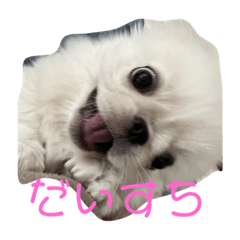kaori_20220626143414