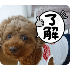 akari_20220626140705