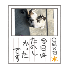 hikaru_20220626180509
