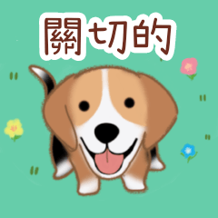 lovable animals(traditional chinese)