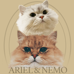 Areil&Nemo