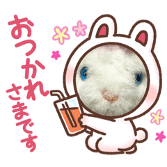 KAORI_20220626164000