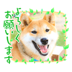 tomomi_20220626185549